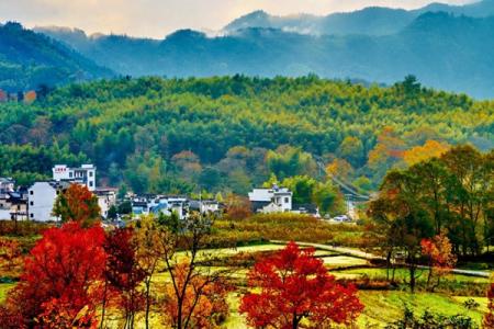 2023塔川旅游攻略 - 游玩时间 - 门票价格 - 景点介绍 - 地址 - 交通 - 天气