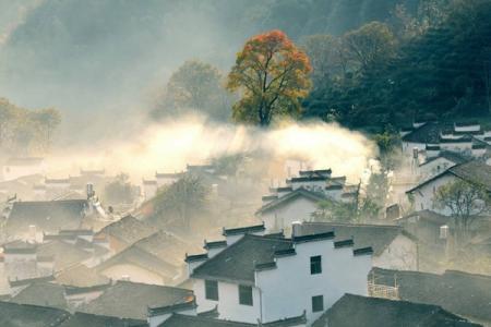 2023塔川旅游攻略 - 游玩时间 - 门票价格 - 景点介绍 - 地址 - 交通 - 天气