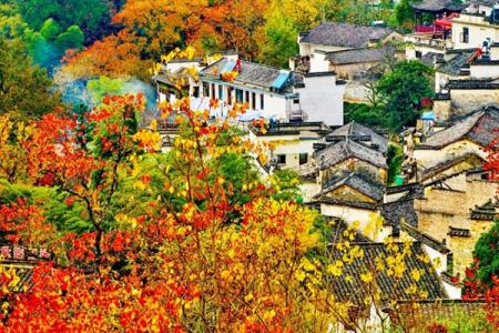 2023塔川旅游攻略 - 游玩时间 - 门票价格 - 景点介绍 - 地址 - 交通 - 天气