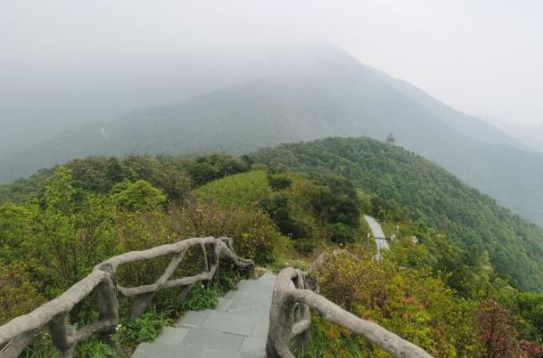 深圳适合周末游玩的地方推荐