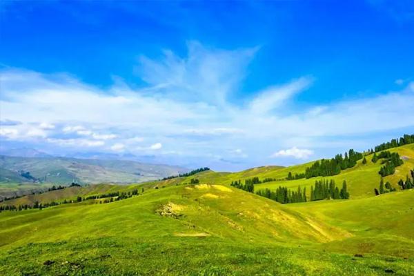 唐布拉草原門票價格多少 唐布拉草原旅游攻略