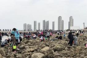 天津赶海攻略2022 去哪里比较好玩