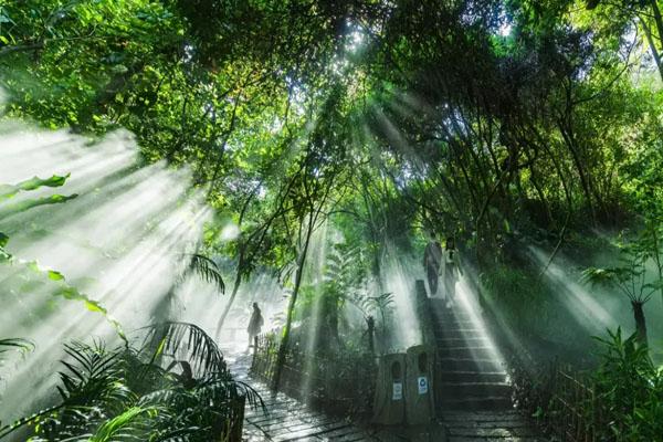 厦门夏季旅游适合避暑的地方