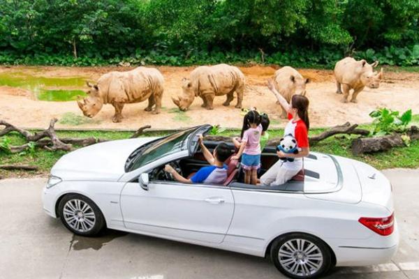 長隆野生動物園自駕車門票怎么買