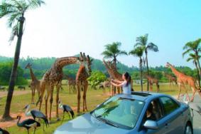 長隆野生動物園自駕車門票怎么買