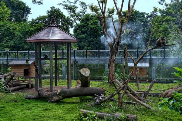 广州动物园哪里比较好玩 广东最出名的动物园有哪些