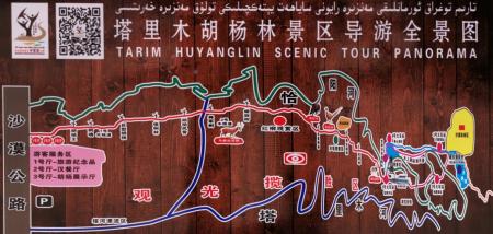 2022轮台胡杨林旅游攻略 - 门票价格 - 优惠政策 - 最佳时间 - 最佳路线图 - 简介 - 交通 - 天气