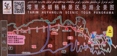 2023塔里木胡杨林公园旅游攻略 - 门票价格 - 优惠政策 - 最佳时间 - 简介 - 地址 - 天气
