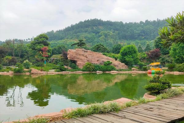 2022重庆歌乐山森林公园开放了吗