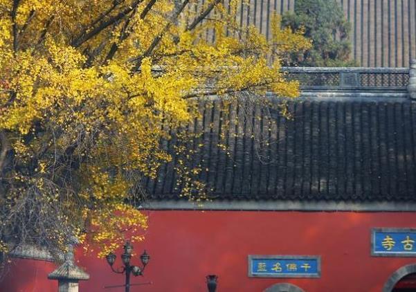 南京秋天最美的风景在哪里