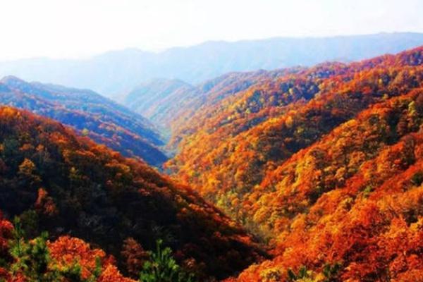 中國紅葉觀賞地排名 這10處紅葉你去過幾個