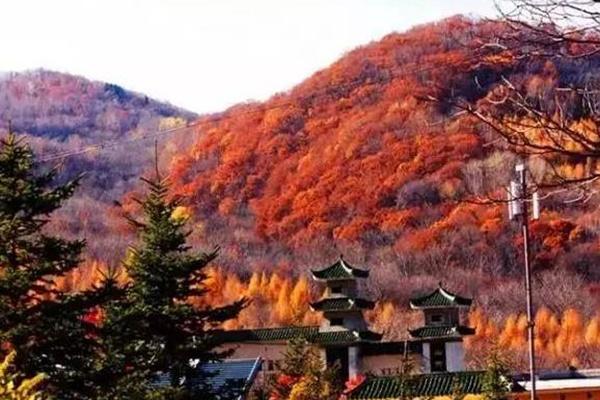 中國十大秋色美景勝地排名 每一個都美的令人窒息