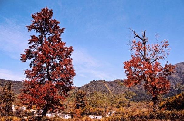 徽州秋天風(fēng)景哪里最好看