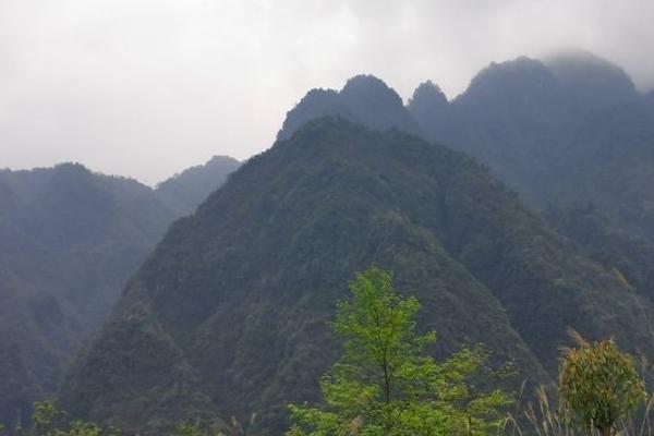 都江堰消暑好去處 高溫避暑玩水景點推薦