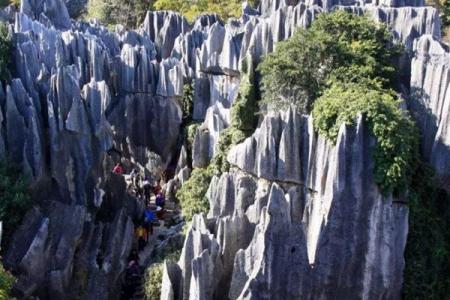 思南石林景区旅游攻略-门票价格-景点信息