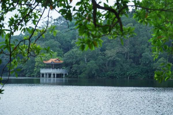 2022深圳仙湖植物园最新免费进入时间
