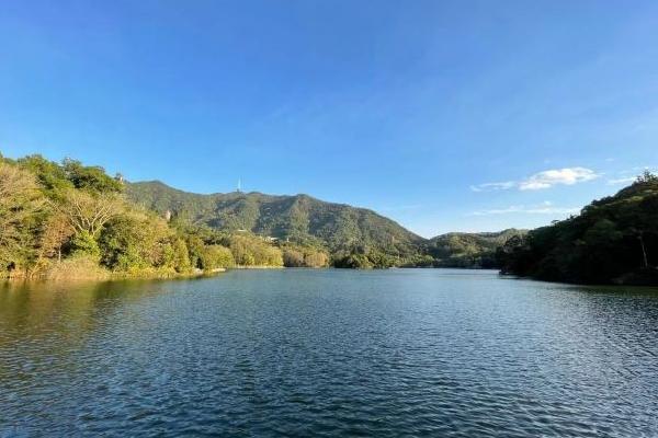 深圳仙湖植物园免费入园时间