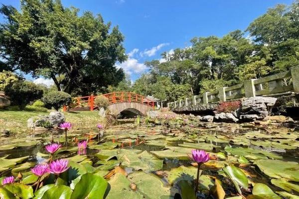 深圳仙湖植物园免费入园时间