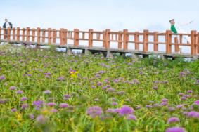 貴州韭菜坪景區(qū)最佳旅游時(shí)間