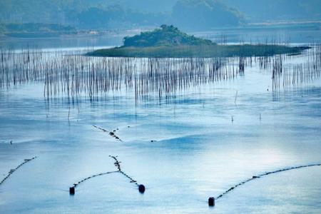 2023霞浦北岐滩涂旅游攻略 - 最佳时间 - 住宿攻略 - 自由行攻略 - 简介 - 地址 - 天气 - 交通 - 简介