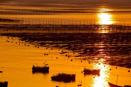 2023霞浦北岐滩涂旅游攻略 - 最佳时间 - 住宿攻略 - 自由行攻略 - 简介 - 地址 - 天气 - 交通 - 简介