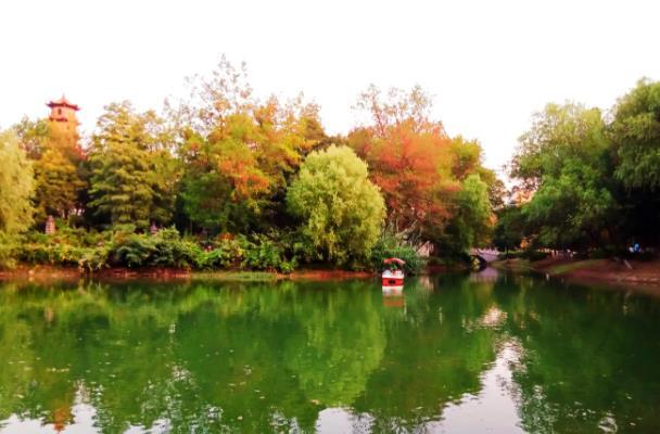 武汉的秋天哪里最美