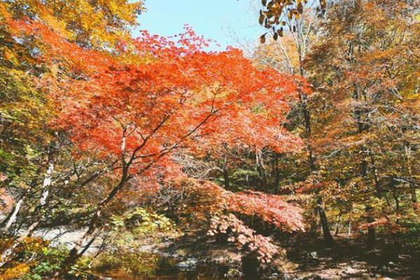 关门山枫叶最佳观赏期是什么时间