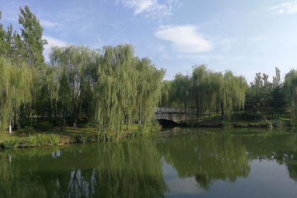 2022稻香湖自然湿地公园游玩攻略 - 门票价格 - 开放时间 - 地址 - 交通