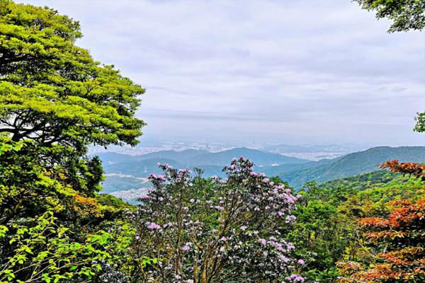 深圳梧桐山有几条登山道