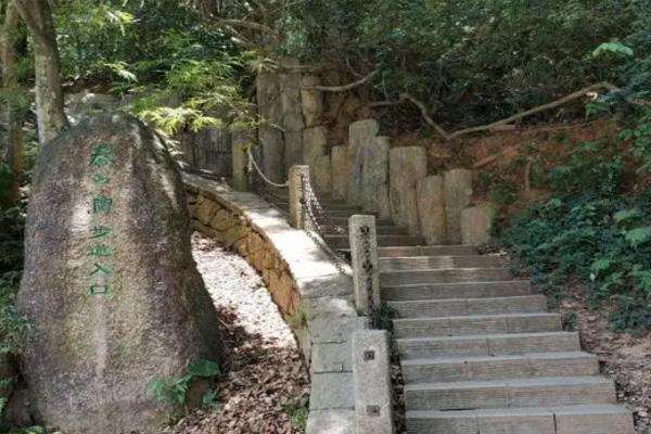 深圳梧桐山有几条登山道