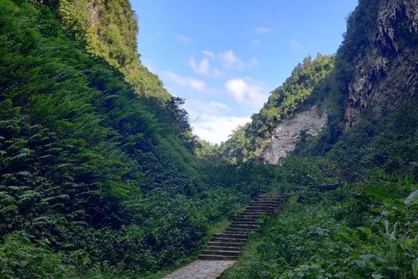 通靈大峽谷風景區在哪里