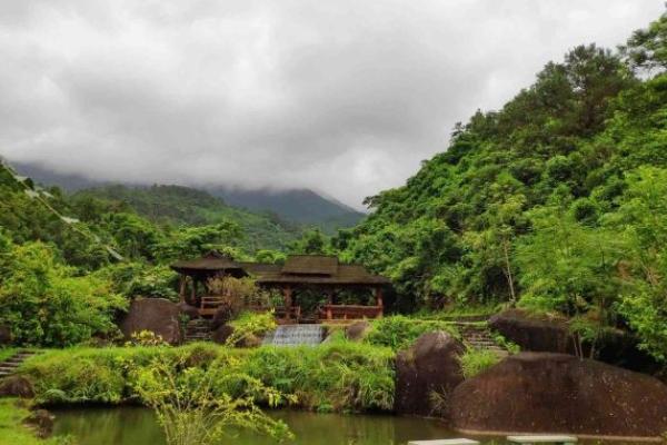 東興屏峰雨林公園怎么去 具體位置在哪里
