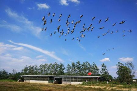 2023洋沙湖国际旅游度假区游玩攻略 - 门票价格 - 开放时间 - 地址 - 交通