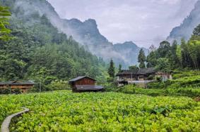 土家十三寨景區(qū)門票多少錢