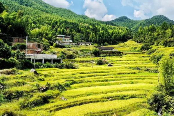 福建最美梯田在哪 七大梯田景观景点