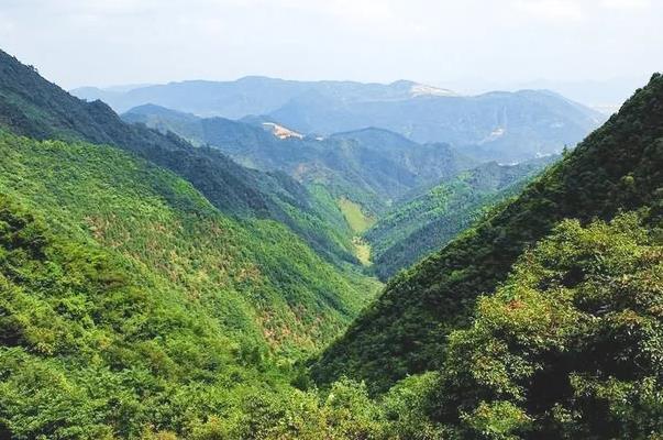 杭州有哪些森林古道景点值得去