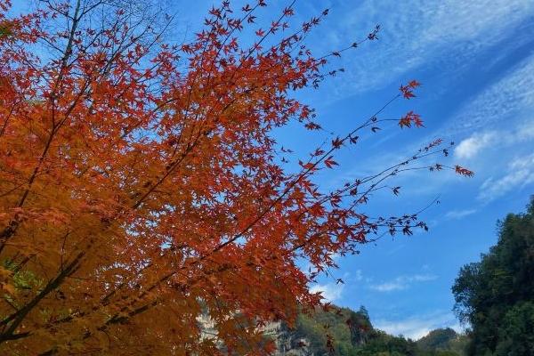 光雾山秋季最佳旅行时间