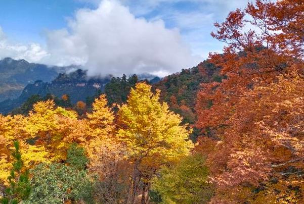 光雾山秋季最佳旅行时间