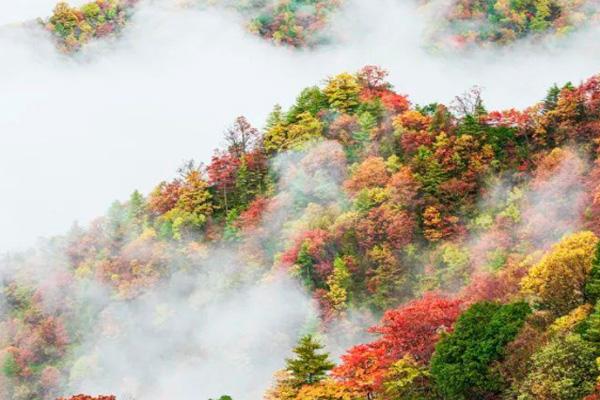 2022神農架紅葉最佳觀賞地點