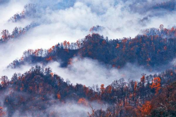 2022神農(nóng)架紅葉最佳觀賞地點