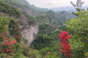 桂林八角寨風(fēng)景區(qū)門票多少錢