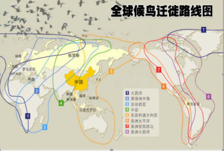 北京野鸭湖湿地公园游玩攻略-门票价格-景点信息