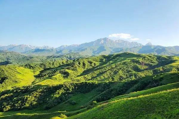 临夏太子山旅游大年夜通讲出收面战起面