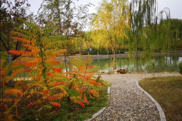天津赏秋的好地方有哪些景点