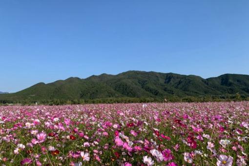 京郊一日游最佳去处