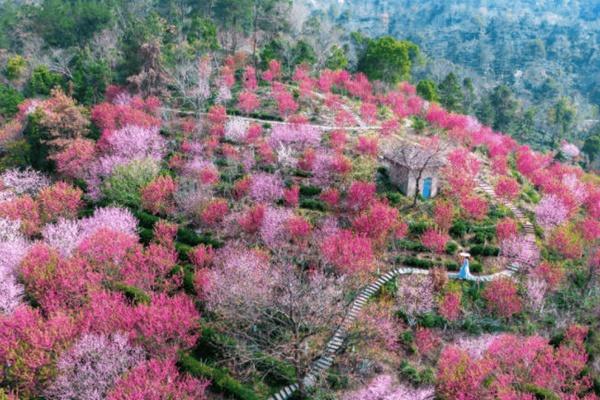 花乡茶谷景区门票多少钱2022