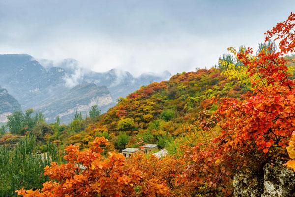 保定秋天最适合旅游的地方 六大秋色最美的景点推荐