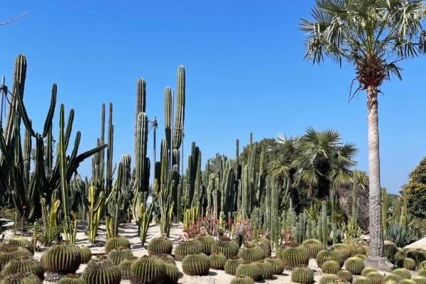 廈門萬石植物園門票多少錢