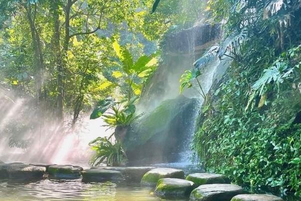 廈門萬石植物園門票多少錢