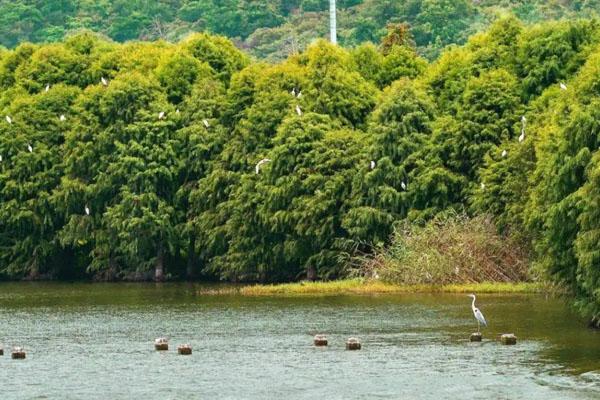 苏州太湖西山岛的景点介绍 25个不容错过的游玩景点